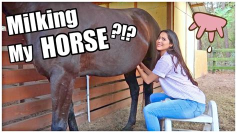 cumming inside horse|Massive Load.. 